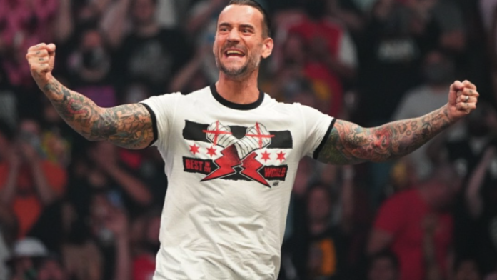 CM Punk removed from WWE roster