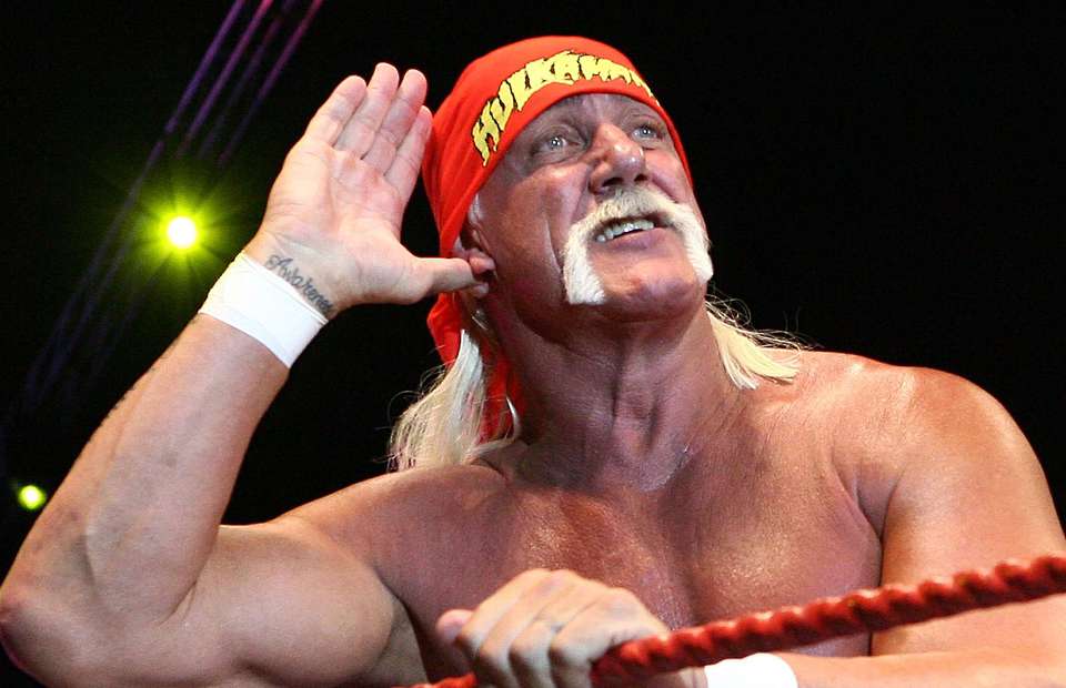 WWE Superstars Hollywood Hulk Hogan Ric Flair Honky Tonk Man & Bray Wyatt